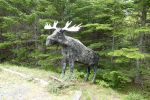 PICTURES/St. Martin and Fundy Parkway/t_Moose Sculpture5.JPG